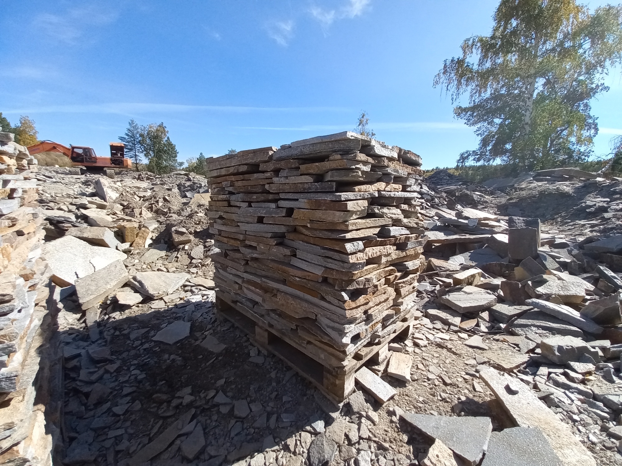 Плитняк златолит серебристый для мощения на бетон купить в Рязани